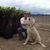 Kirsten Cobalt Niesar's profile image