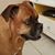 Molly McKean Sabat's profile image