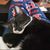 Joanie McAnulty's profile image