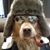 Jano Strasser's profile image