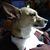Vicky Honkus's profile image