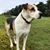 Kirsten Fleming Pontarelli's profile image