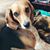 Cyndy Groves's profile image