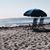 Debbie Schwebl Gandour's profile image
