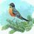 Robin Hendley's profile image
