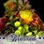 Christine Whistler's profile image