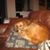Rochelle Lawless's profile image