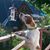 Kathleen McCarthy's profile image