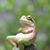 Gary Sterling's profile image
