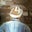 Brad Phillips's profile image