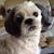 Ellen Kerr's profile image