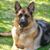 Nancy Lobdell's profile image