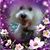 Carol A. Bradley's profile image