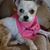 Gertie Griffin's profile image