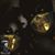 Gladys Santos Rees's profile image