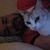 Ro Lito's profile image
