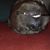 Gina Restaino's profile image