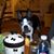 Jackie Bluemlein's profile image