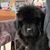 Wendy Lynn Aubert's profile image