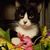 Raye Parnell Ramey's profile image