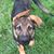 Bessie Huneryager's profile image