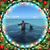 Steve Herd's profile image