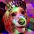 Sara Roth's profile image
