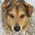 Amanda Jo Brown's profile image