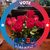 Susan Llanos's profile image