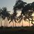 Beth Barlow LaBarge's profile image