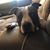 Natalie Ucci's profile image