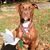 Madalene Behrle Taggart's profile image