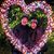 Vun N Trenton's profile image