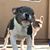 Kristin Heller Miller's profile image