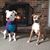 Cris Evert's profile image