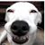 Jean Ford Elrod's profile image