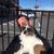 Russ Pfeifer Drumlord's profile image