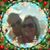 Maureen Fandal's profile image