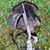 Tony Benning's profile image