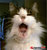 Edie J.'s profile image