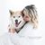 Csilla Leonard's profile image