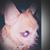 Keesha Russell's profile image