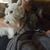 Darla Motil's profile image