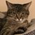 Donna M Ellis's profile image