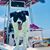 Joseph Lieberth's profile image