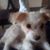 Christopher Catanzaro's profile image