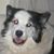 Debi Jill's profile image