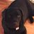 Sarah Hartman Knauss's profile image
