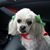 Penny Herget's profile image
