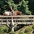 Tracy Teesdale's profile image